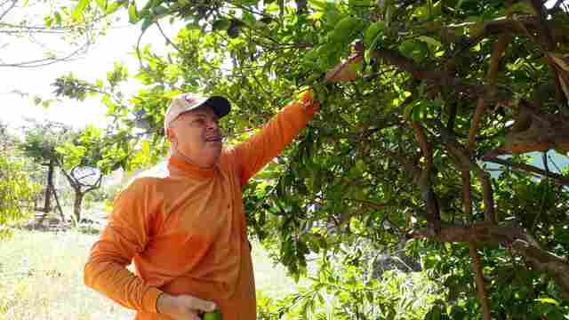 Na reserva e longe da farda, bombeiros se dedicam a outras atividades e formas de viver