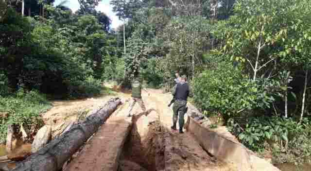 Força Tarefa Amazônia denuncia nove pessoas por invasão e loteamento da terra indígena Karipuna