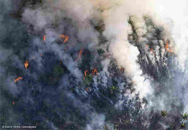Bolsonaro autoriza uso das Forças Armadas no combate a queimadas na Amazônia