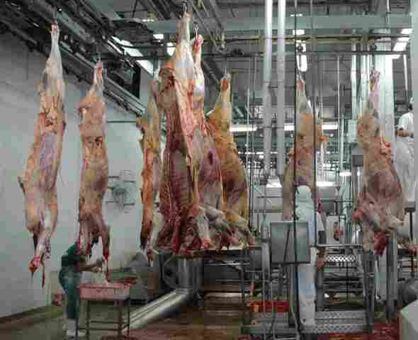 Frigorífico de Rondônia é autorizado a exportar carne para a China
