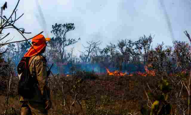 Mato Grosso decreta situação de emergência por causa de queimadas