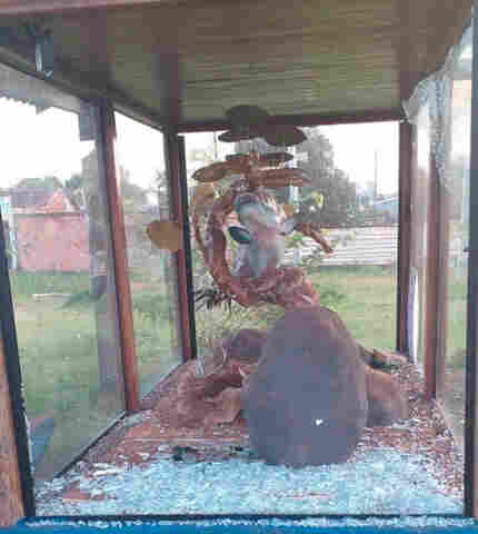 Ecoparque em Porto Velho é alvo de vandalismo