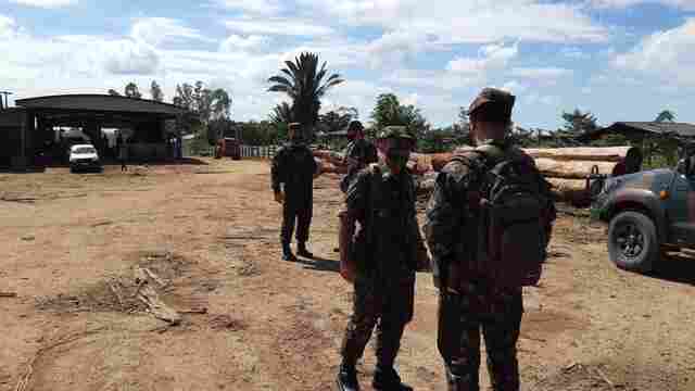 Mais cinco madeireiras são alvo de operação contra extração ilegal; fotos