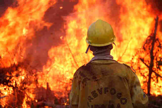 Ibama abre seleção para contratação de brigadistas e outros profissionais em Rondônia