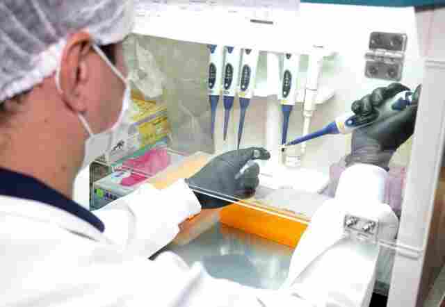 Mais de 500 casos de Coronavírus e 7 mortes registrados em Rondônia neste domingo; curados somam 12.512