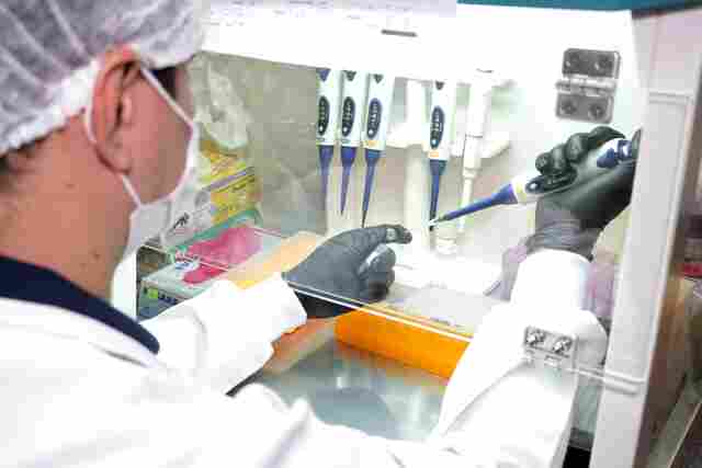 Rondônia ultrapassa 50 mil casos de Coronavírus; curados são quase 42 mil