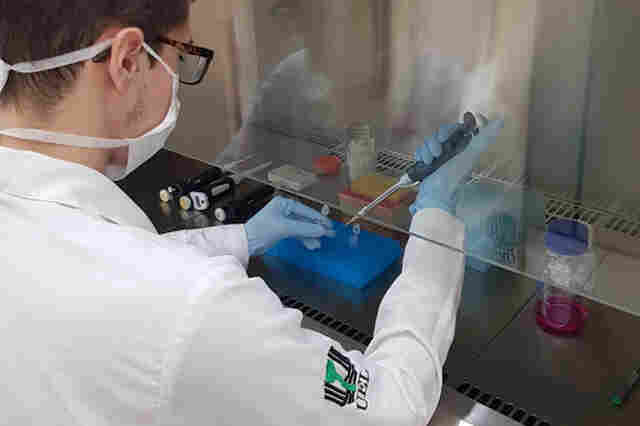 Duas mortes por Coronavírus e 111 casos registrados neste domingo em Rondônia