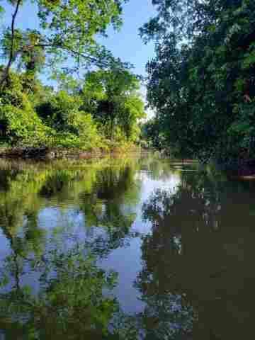 Aos 35 anos, Alvorada do Oeste cresce com a agropecuária e busca solução ambiental