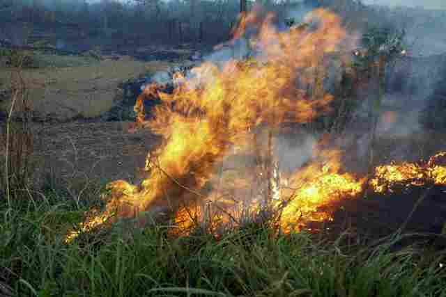Sedam intensifica ações de prevenção às queimadas e incêndios florestais em Rondônia