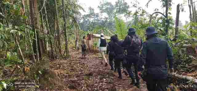 Operação desocupa área no Parque Estadual de Guajará-Mirim