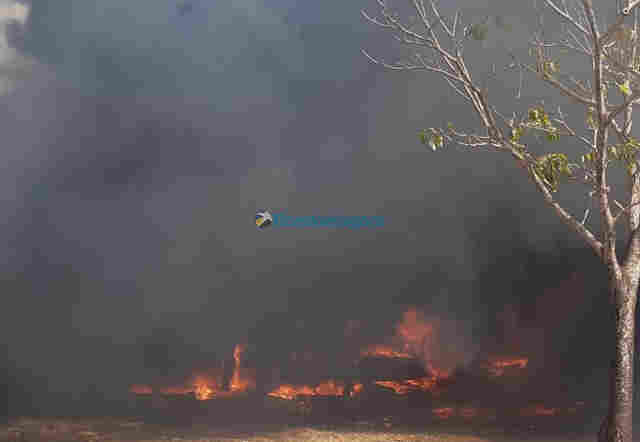Rondônia já registrou 2.221 focos de calor em 2.021 e 55 grandes incêndios florestais em apenas uma semana