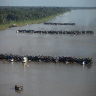 Governo federal prepara ação contra garimpo ilegal no Rio Madeira