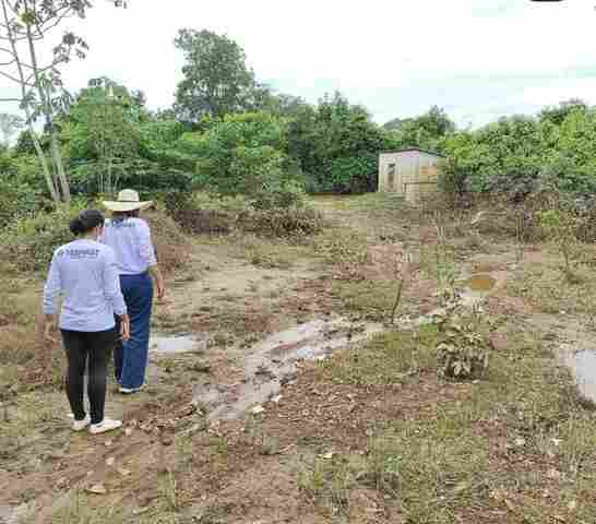 Após cheias, famílias retornam a casas em Ji-Paraná e Cacoal