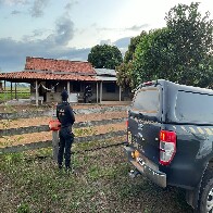 PF prende seis envolvidos com o tráfico em Rondônia e Goiás