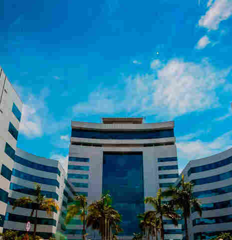 Governo reduz horário de trabalho, caso Brasil avance para as quartas de final