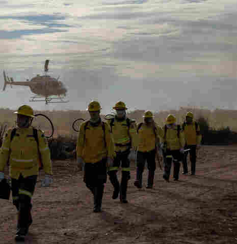 Ibama abre seleção com mais de 100 vagas para Rondônia; veja editais