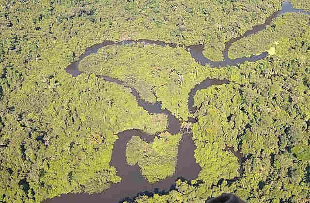 Justiça manda suspender atividades de associação envolvida na invasão do Parque Estadual de Guajará-Mirim