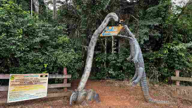 Programação da Semana do Meio Ambiente em Alta Floresta segue até o dia 7 de junho