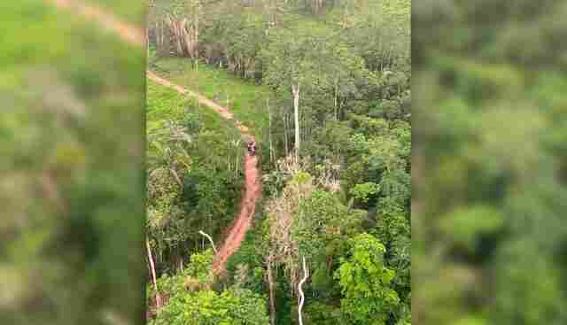 STJ mantém ordem de desocupação do Parque Estadual de Guajará-Mirim; operação será na segunda-feira