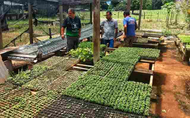 Agricultores de Costas Marques recebem incentivo para produção de hortaliças