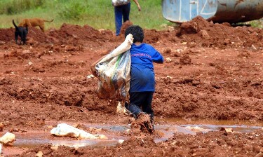 Justiça condena Cargill por contribuir com rede de trabalho infantil