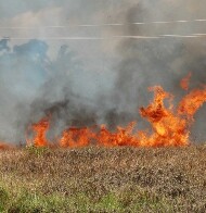 Seca castiga Rondônia e focos de incêndio crescem 55% em setembro