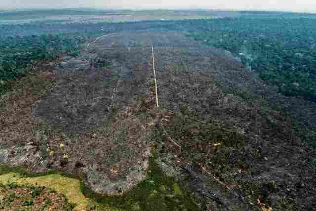 Operação do MP e Polícia Civil mira acusado de incendiar quase 270 hectares de área de reserva ambiental