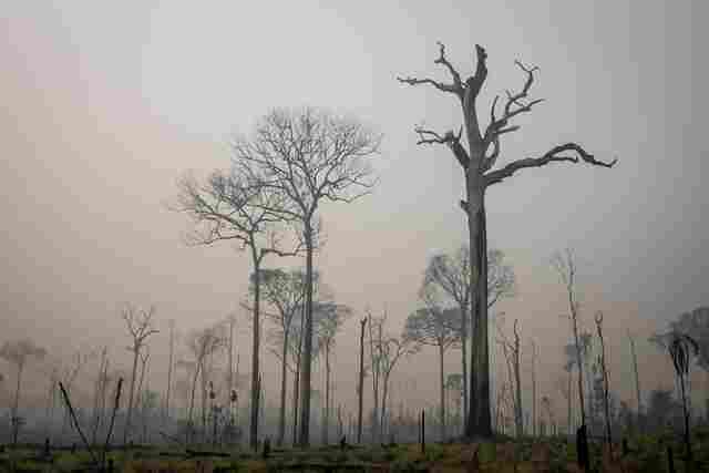 Amazonas têm 1.664 focos de fogo e Ibama manda reforço de brigadistas