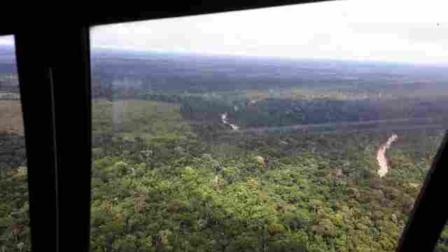 Justiça nega recurso a invasores do Parque Estadual de Guajará Mirim