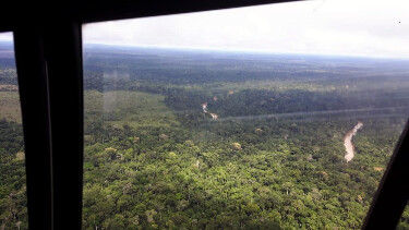 Justiça nega recurso a invasores do Parque Estadual de Guajará Mirim