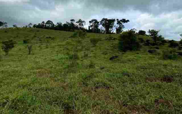 Licença Ambiental é emitida para mineração de ouro e cobre, em Novo Horizonte do Oeste