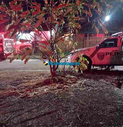 Corpo de jovem com mãos amarradas e tiro na cabeça é encontrado em matagal no Orgulho do Madeira