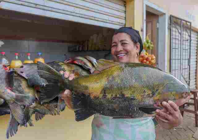 Mercados e feiras: moradores de Porto Velho têm opções para adquirir peixe fresco