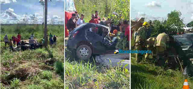 Vídeo: professora fica gravemente ferida após capotamento de carro na BR-319; ela teria tentado desviar de cachorro