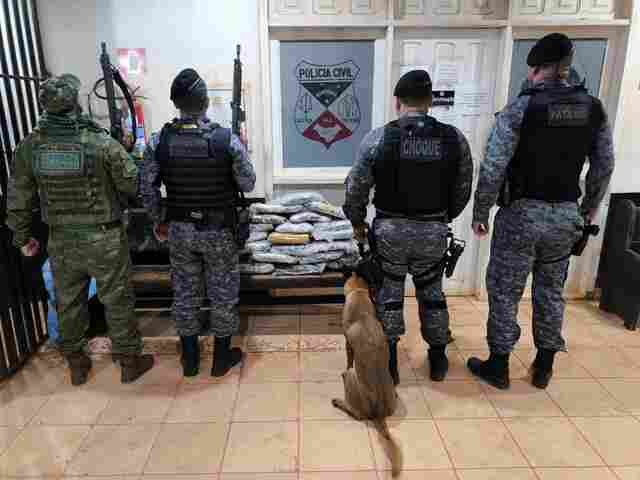 PM apreende 20 kg de maconha após denúncia anônima