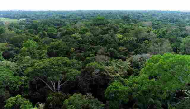 Justiça determina desocupação da Estação Ecológica de Samuel