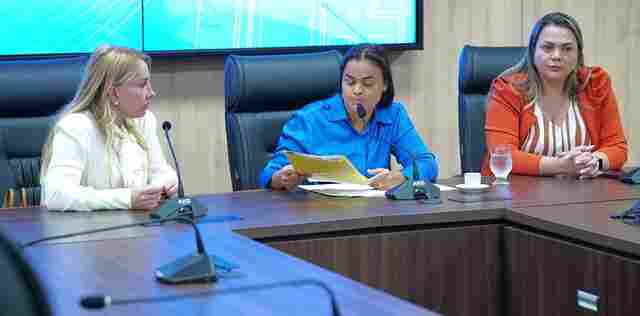 Comissão da Assembleia discute violência contra a mulher na internet