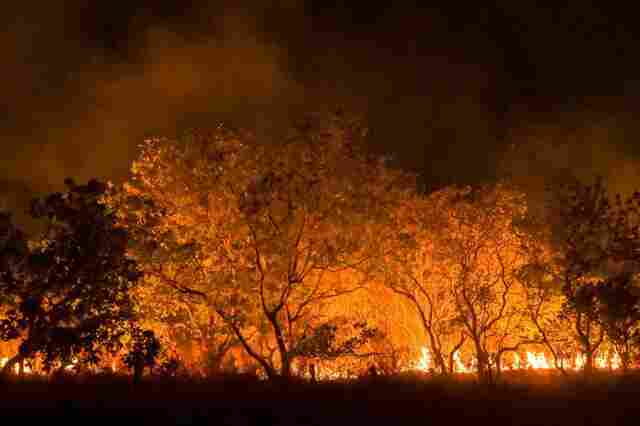 Mudanças climáticas já interferem em secas e cheias na Amazônia
