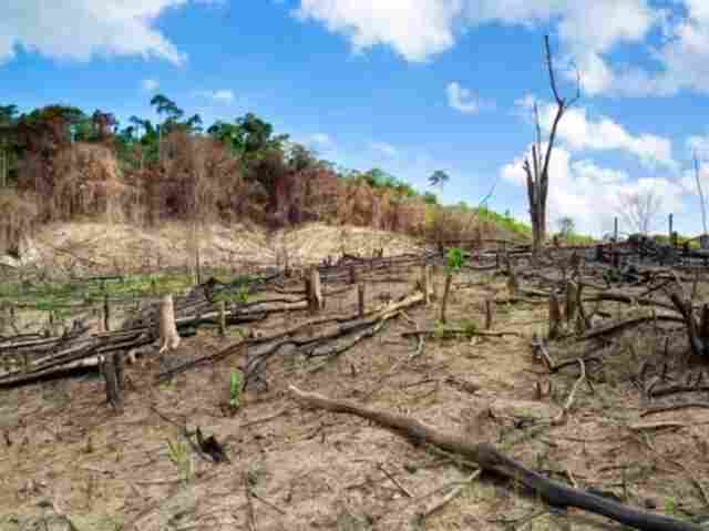 Dono de construtora é condenado por desmatar terra indígena em Rondônia