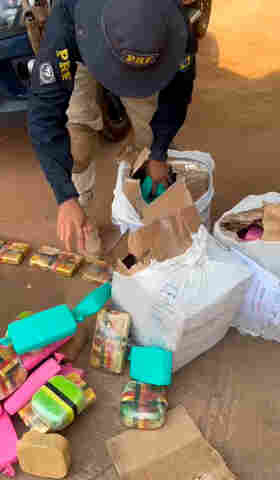 PRF apreende quase 90 kg de cocaína e skunk em ônibus na BR-364