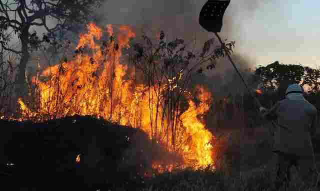 Amazônia tem 2,5 milhões de hectares queimados em agosto