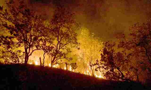 Ministro do STF manda União mobilizar Forças Armadas, PF, PRF e Força Nacional para combater incêndios na Amazônia e Pantanal