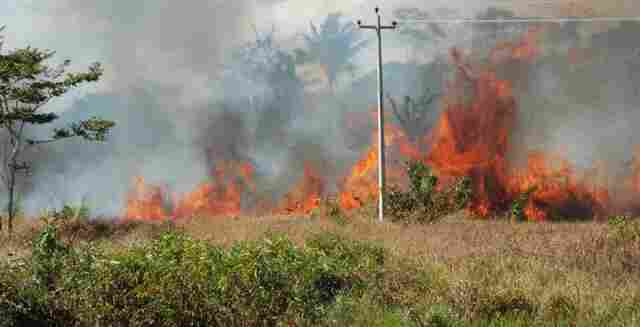 Governo de Rondônia declara situação de emergência estadual devido aos incêndios florestais