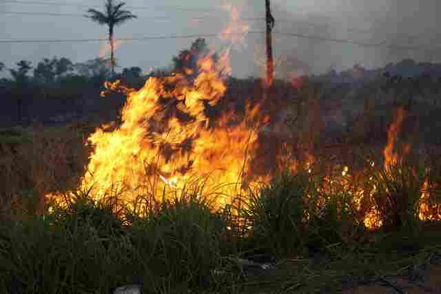 Justiça Federal dá prazo de 72 horas para União se manifestar sobre combate a incêndios florestais em Rondônia