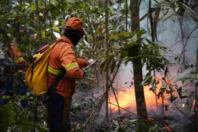 Sancionada em Rondônia a lei que prevê medidas mais rigorosas contra responsáveis por incêndios florestais