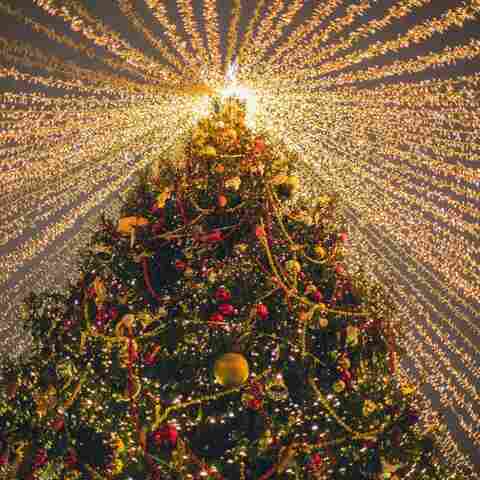 Decoração de Natal: segurança é fundamental para evitar acidentes e economizar energia