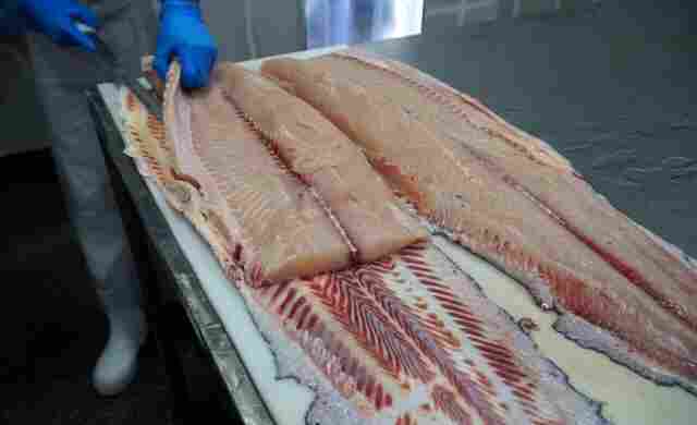 Ipem orienta população sobre cuidados na compra de pescados e ovos de Páscoa