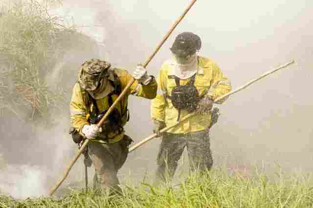Governo Federal autoriza contratação de brigadistas para combate a incêndios em Rondônia e outros 16 estados