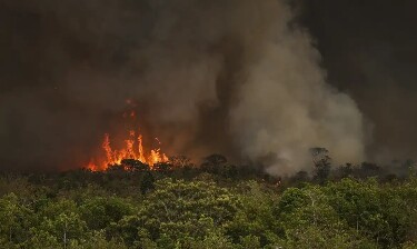 Câmara Federal aprova aumento de punição a quem provocar incêndios florestais