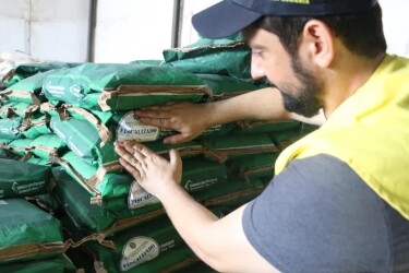 Governo de Rondônia mantém alerta sobre risco de sementes adulteradas para formação de pasto